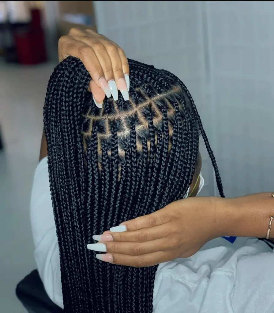 diversité des tresses