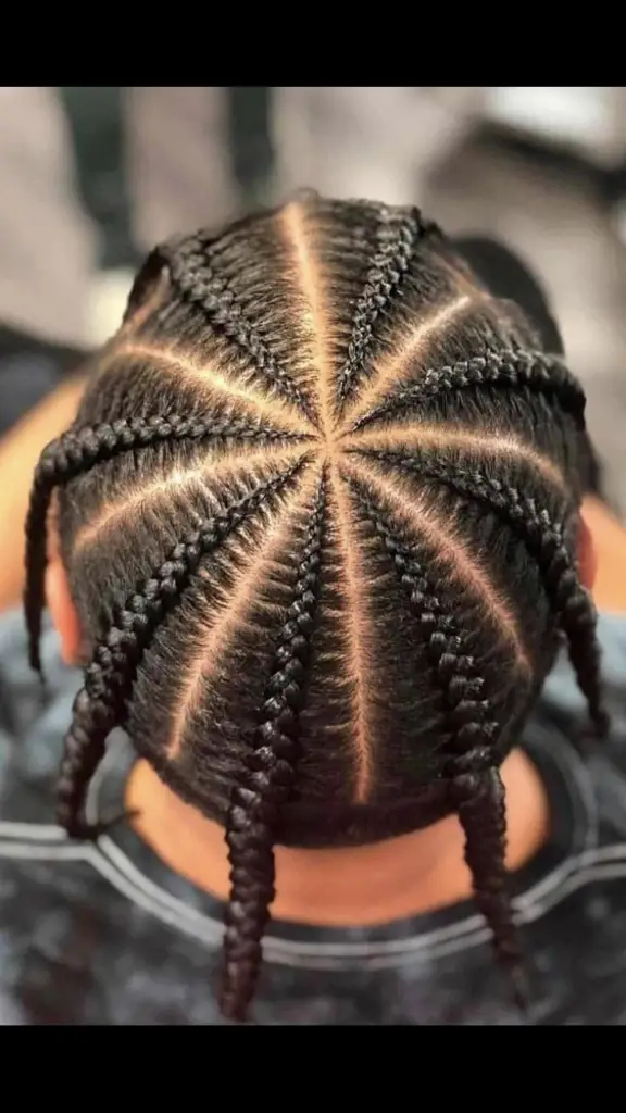 tresses stylées, tresses africaines, tresses tendances, box braids, nattes collées,